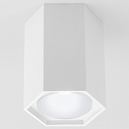 Накладной светильник Elektrostandard 25037/LED 25037/LED