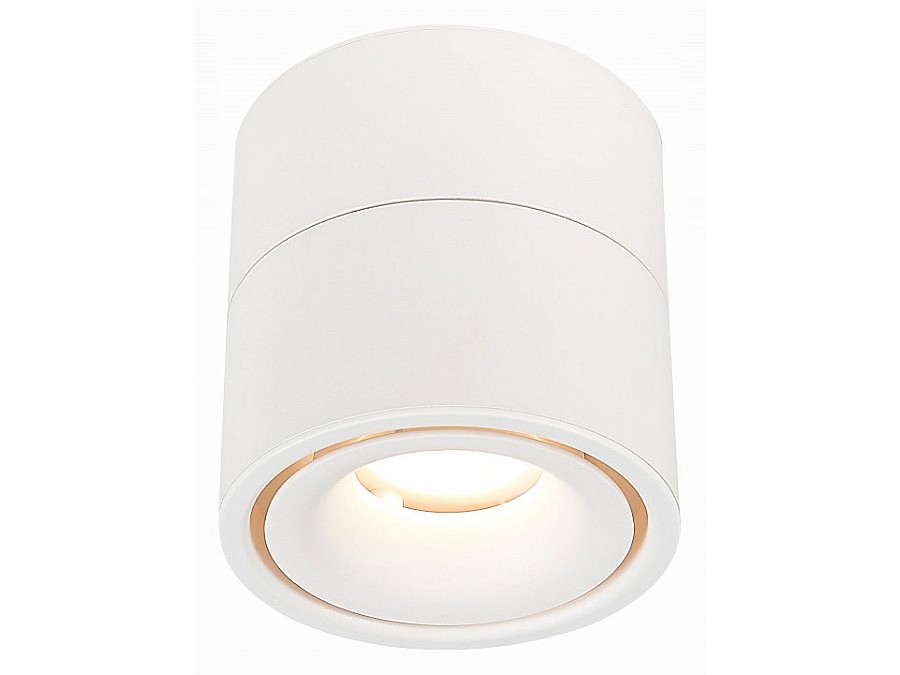 Светильник на штанге ST-Luce ST652 ST652.532.12