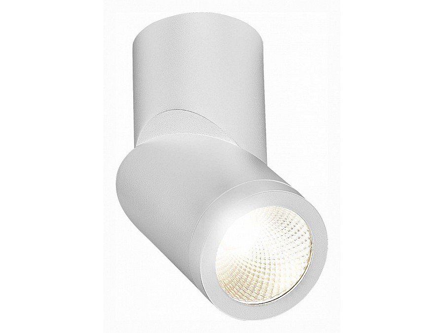 Светильник на штанге ST-Luce ST650 ST650.542.10