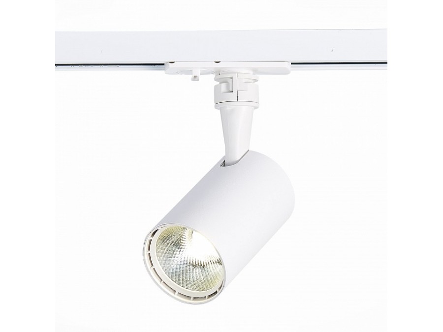 Светильник на штанге ST-Luce Cami ST351.536.10.24