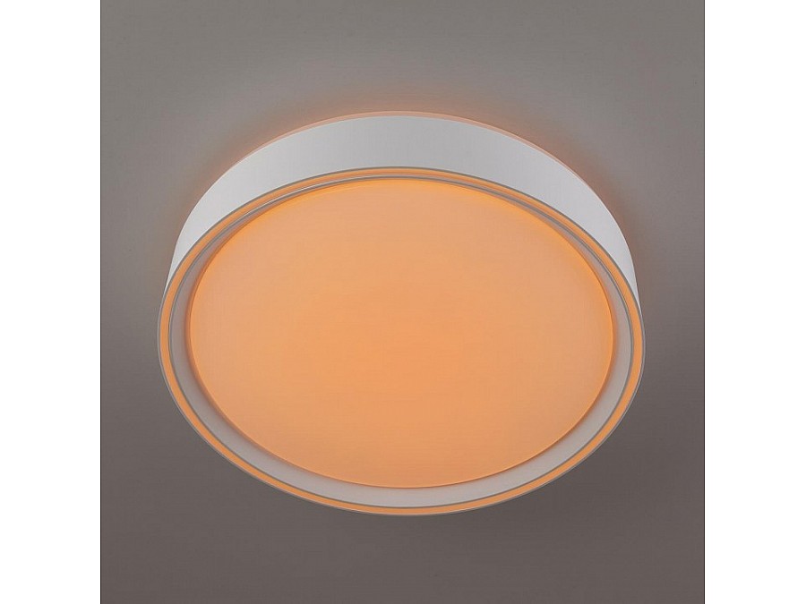 Накладной светильник Citilux BOSS CL751250G