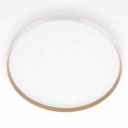 Накладной светильник Citilux ETALON CL750500R