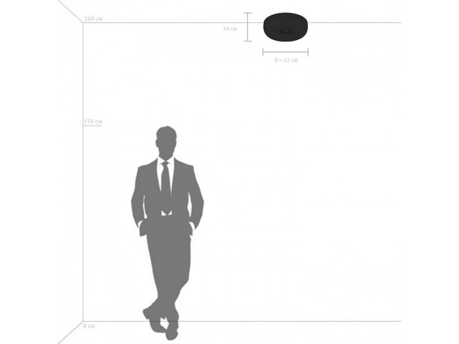 Накладной светильник Lightstar Celesta 809316