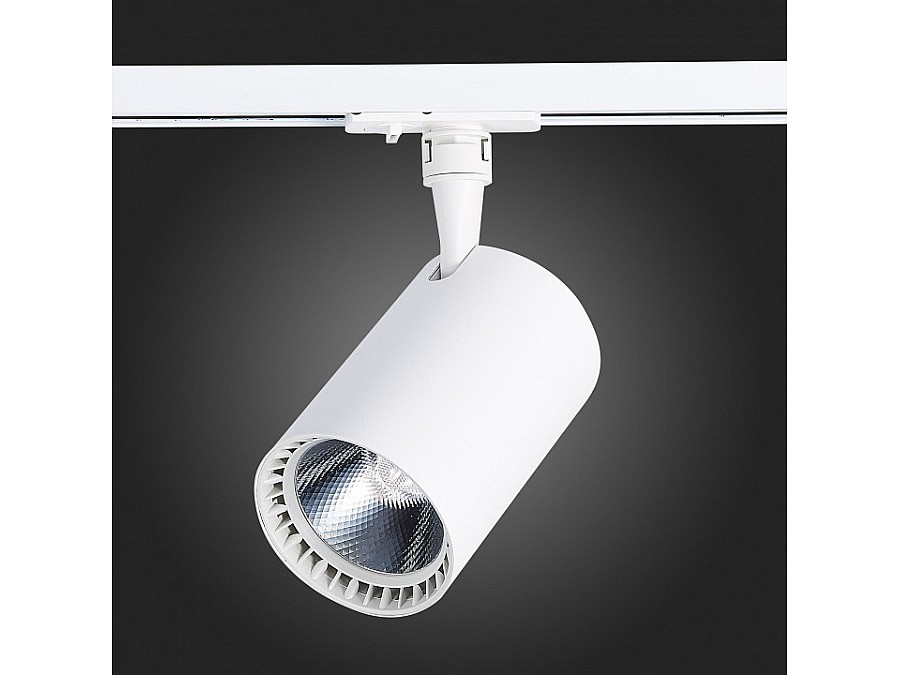 Светильник на штанге ST-Luce Cami ST351.536.30.24