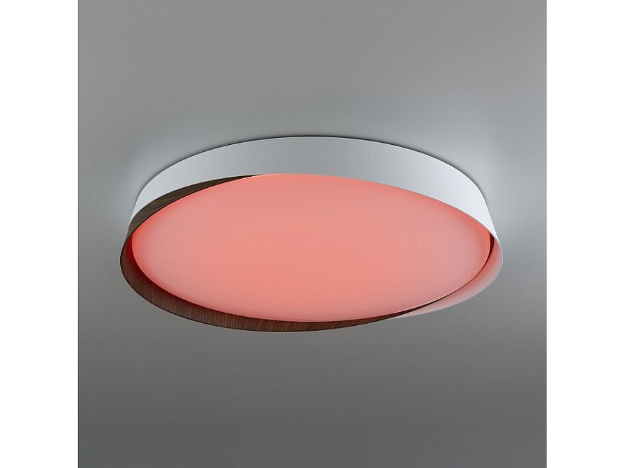 Накладной светильник Citilux BONNY CL754450G