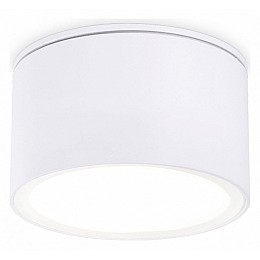 Накладной светильник Ambrella TN TN6522