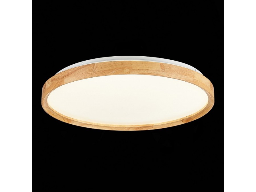 Накладной светильник EVOLUCE DELIA SLE201382-01