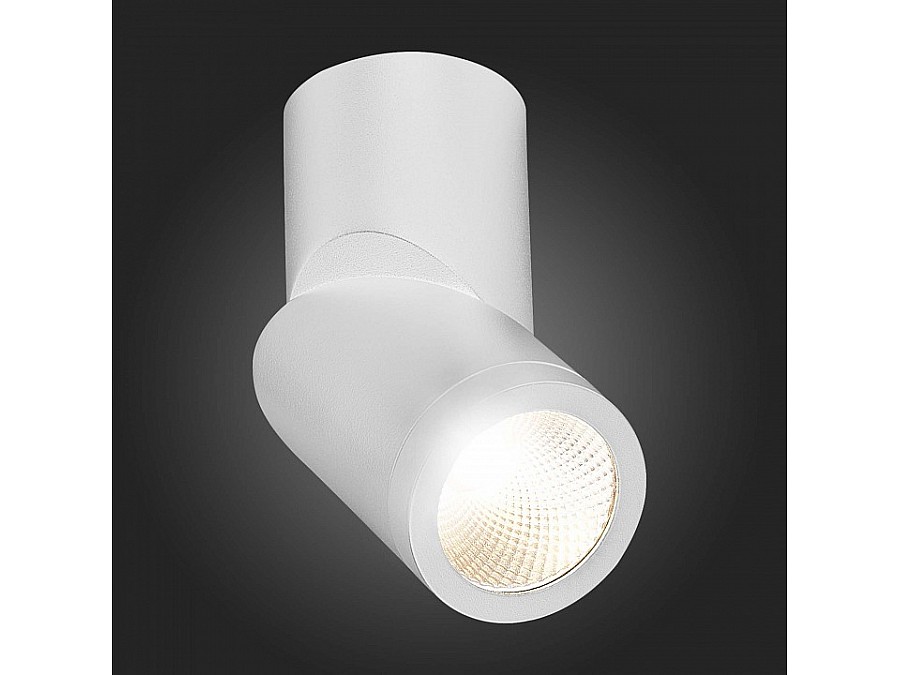 Светильник на штанге ST-Luce ST650 ST650.542.10