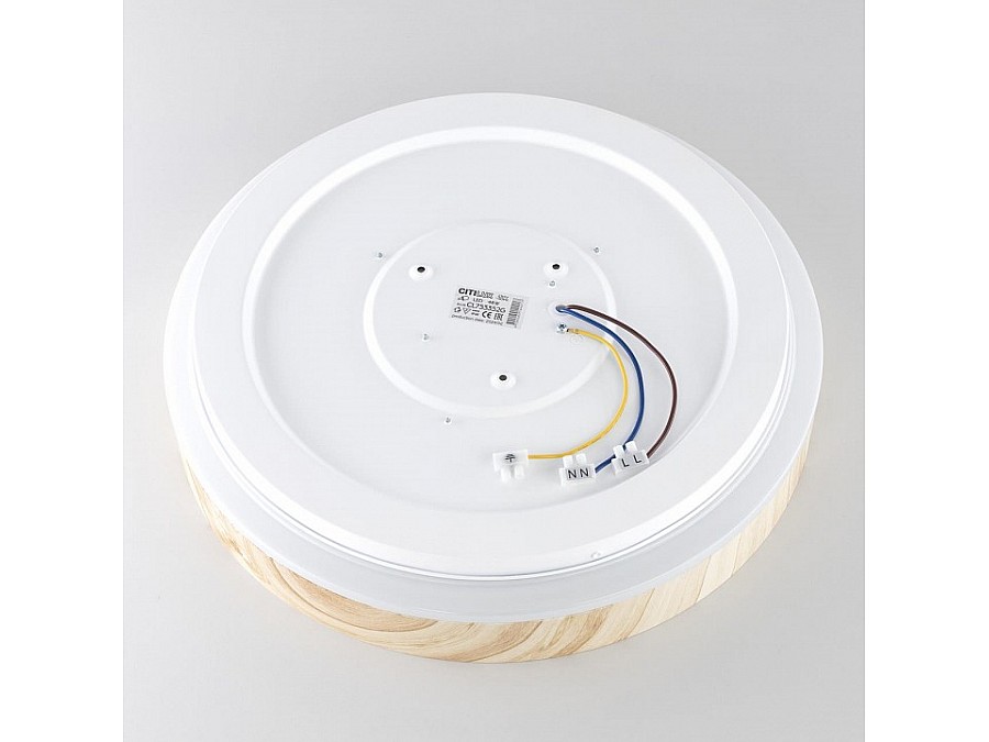 Накладной светильник Citilux ENZO CL753352G