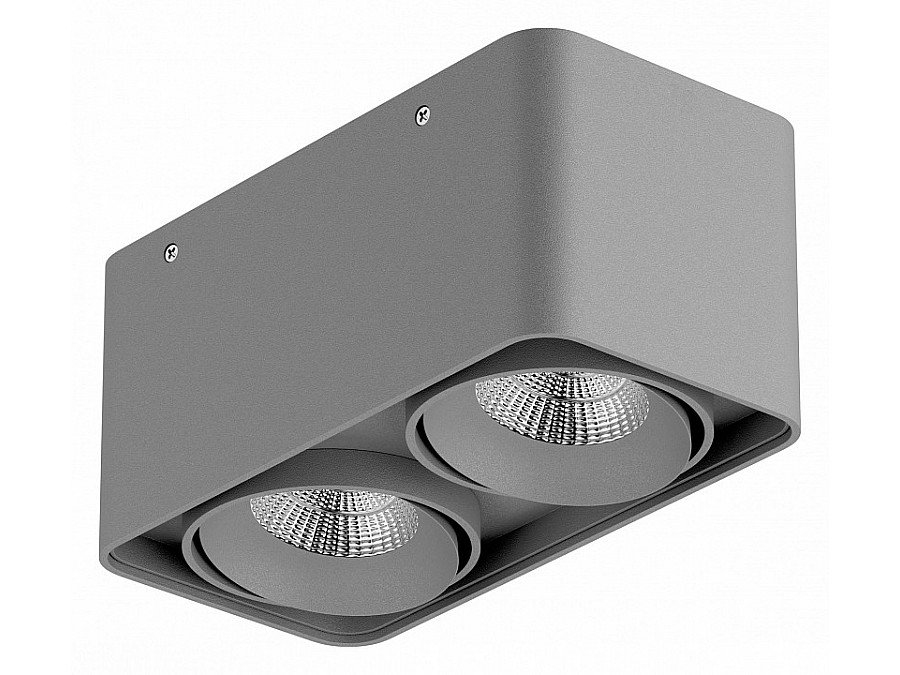 Накладной светильник Lightstar Monocco 052129-IP65
