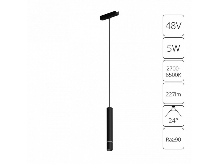 Подвесной светильник Arte Lamp Rapid A2959PL-1BK