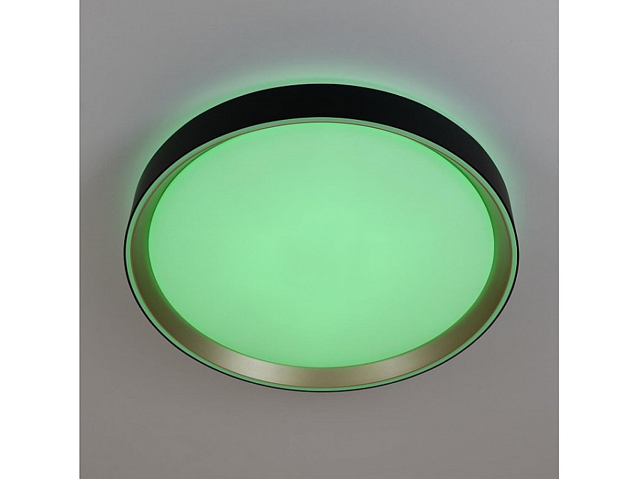 Накладной светильник Citilux BOSS CL751351G