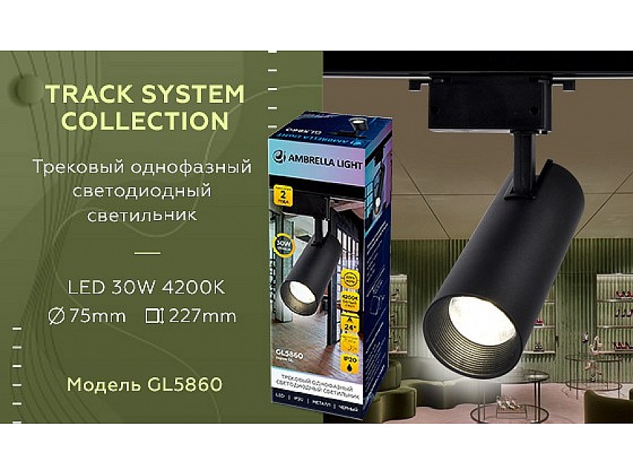 Светильник на штанге Ambrella Light GL GL5860