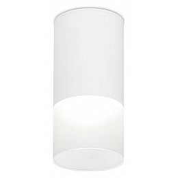 Накладной светильник Ambrella TN TN231