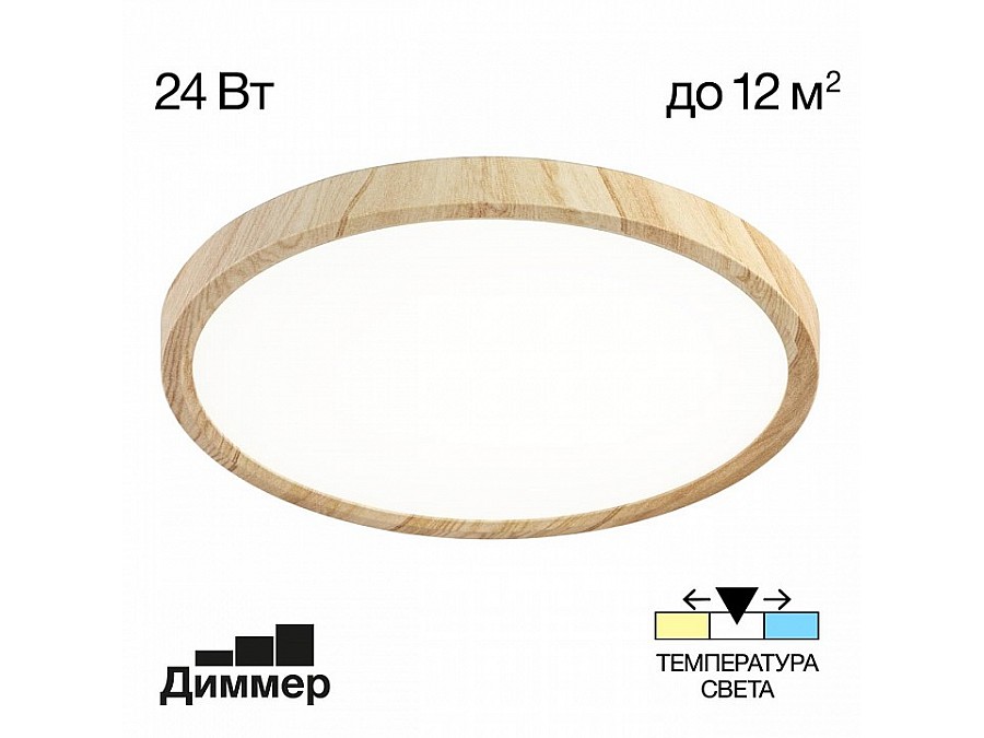 Накладной светильник Citilux Бейсик CL738242V