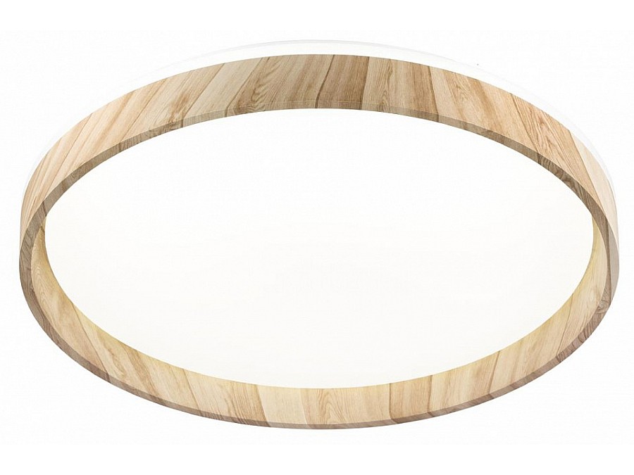 Накладной светильник Citilux ENZO CL753452G