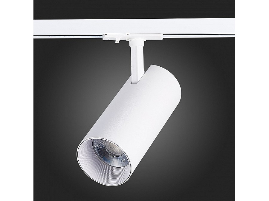 Светильник на штанге ST-Luce Mono ST350.546.30.36