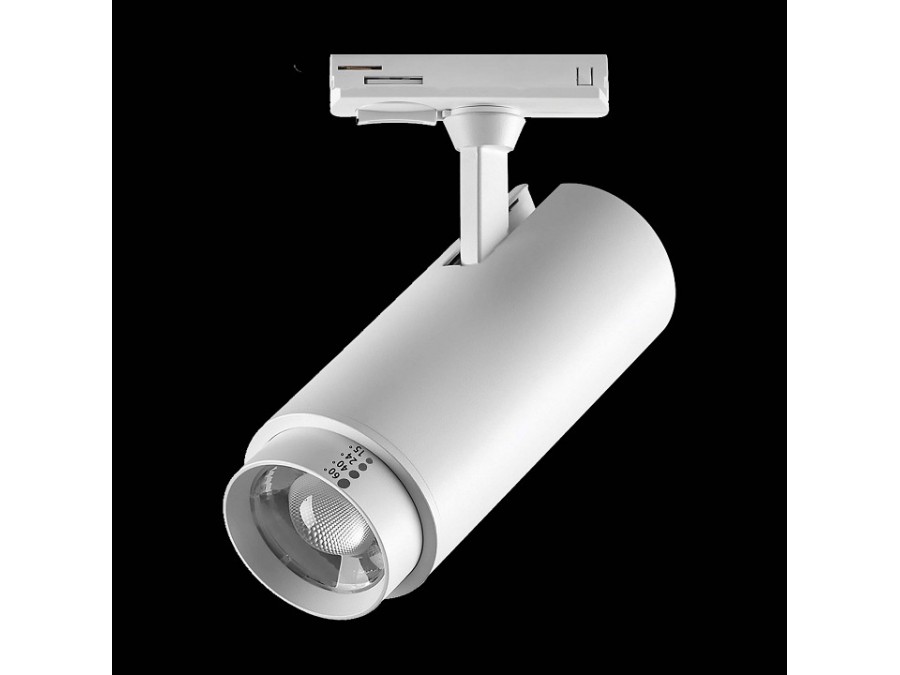 Светильник на штанге Lightstar Fuoco P+CCT 218026