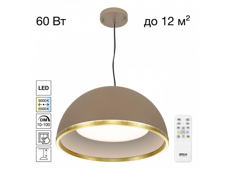 Подвесной светильник Citilux FLOOM CL736252