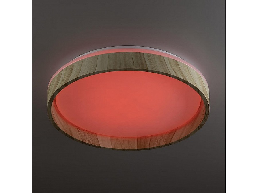 Накладной светильник Citilux ENZO CL753352G