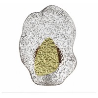 Накладной светильник Odeon Light L-VISION 5460/12WLA