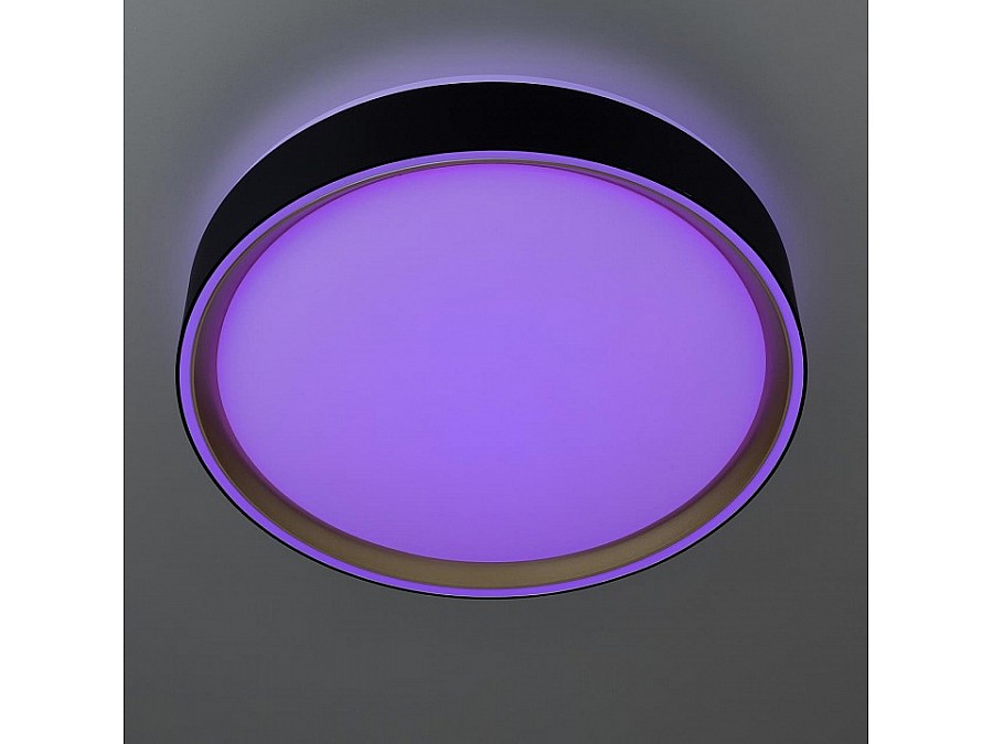 Накладной светильник Citilux BOSS CL751251G