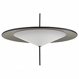 Подвесной светильник Odeon Light Steka 5012/16L