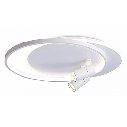 Накладной светильник Ambrella Light FL FL51391