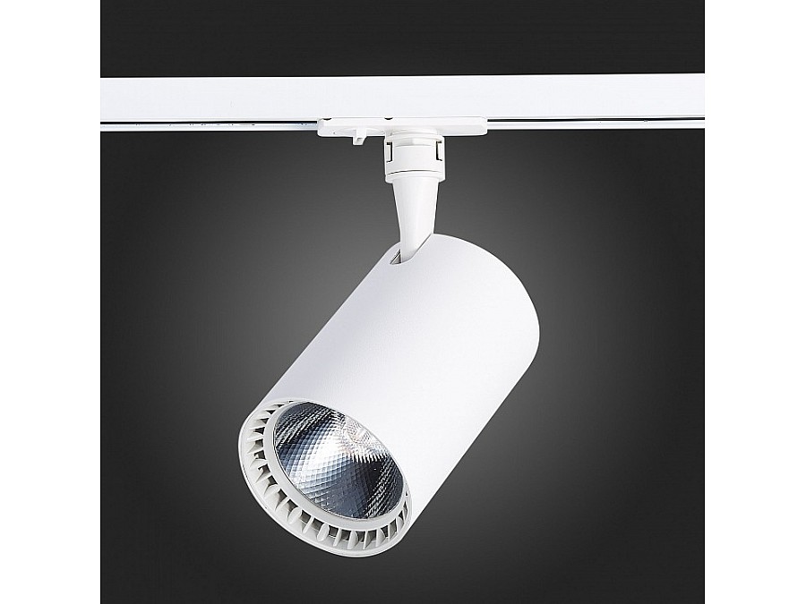 Светильник на штанге ST-Luce Cami ST351.546.30.36