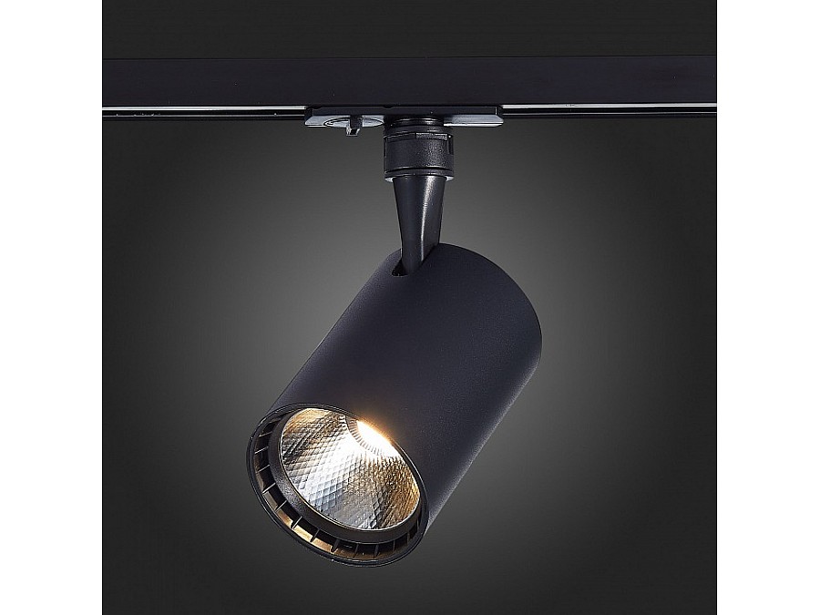 Светильник на штанге ST-Luce Cami ST351.436.30.36