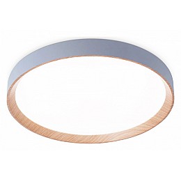 Накладной светильник Ambrella FZ FZ1322