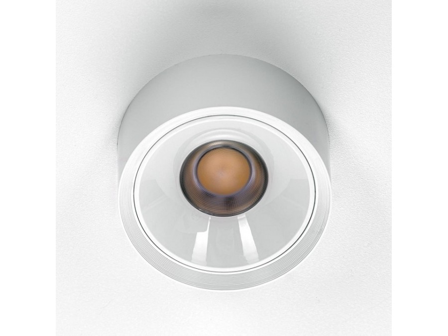 Накладной светильник Citilux Rover CL743090N