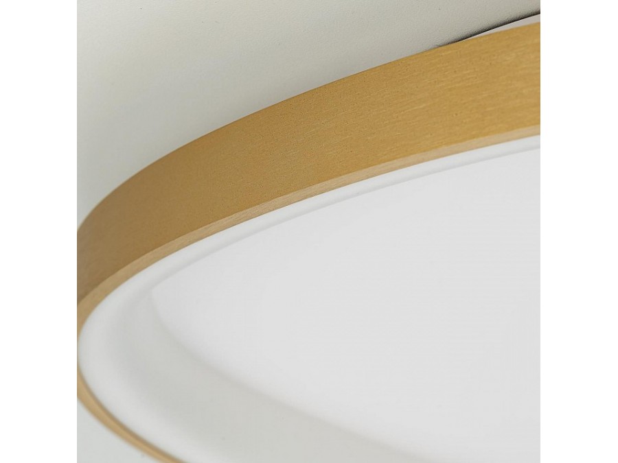 Накладной светильник Citilux GENKA SMART CL756A162