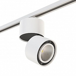 Светильник на штанге Lightstar Forte Muro A1T213850