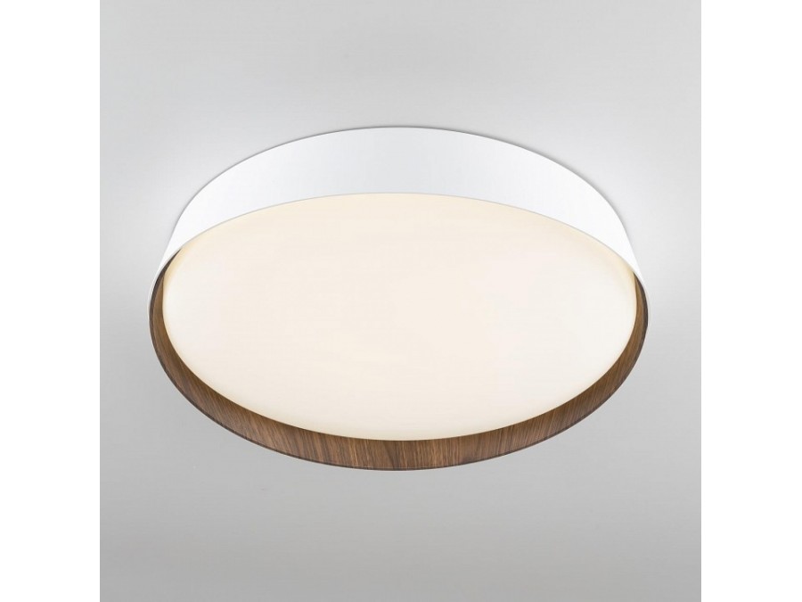 Накладной светильник Citilux BONNY CL754350G