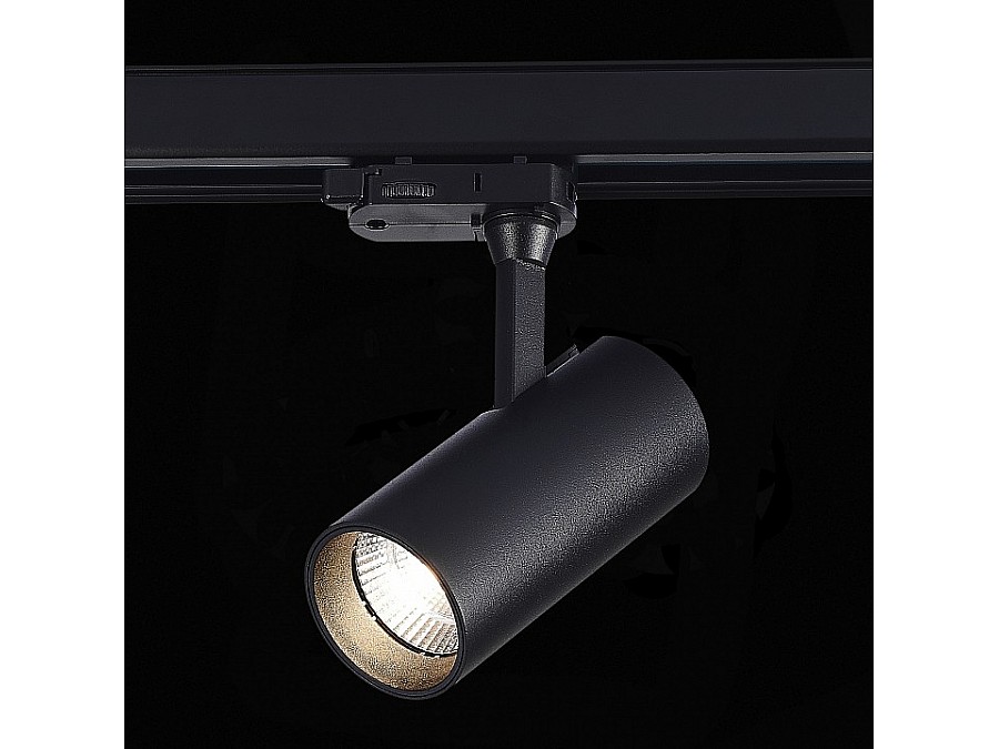 Светильник на штанге ST-Luce Трехфазная трековая система ST661.446.10