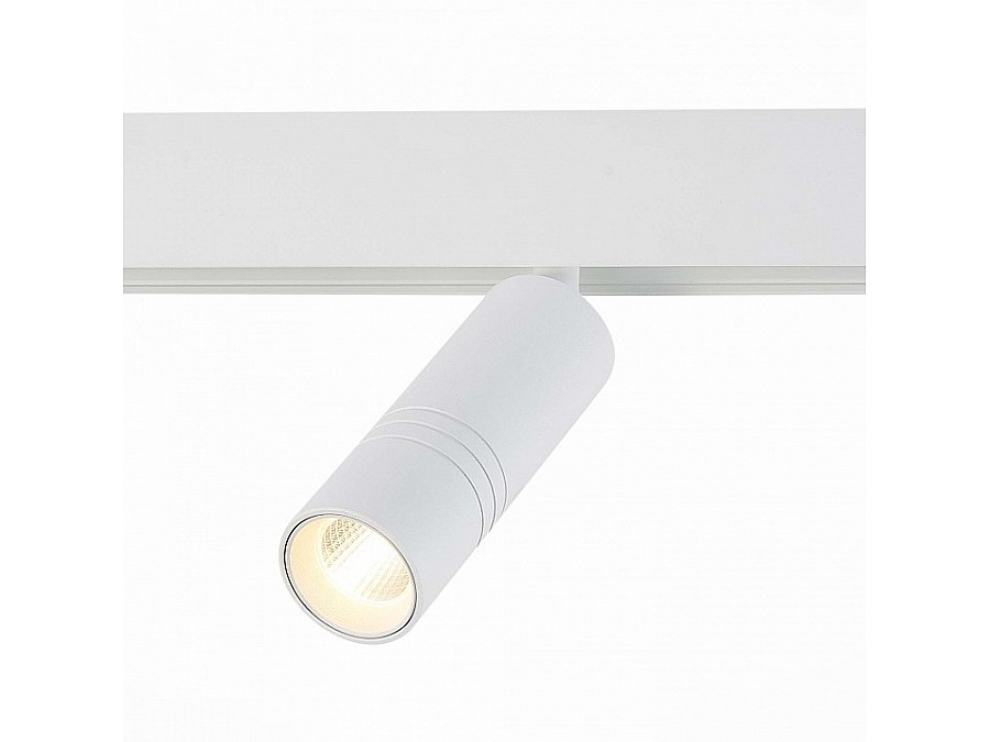 Светильник на штанге ST-Luce Lemmi ST365.536.12