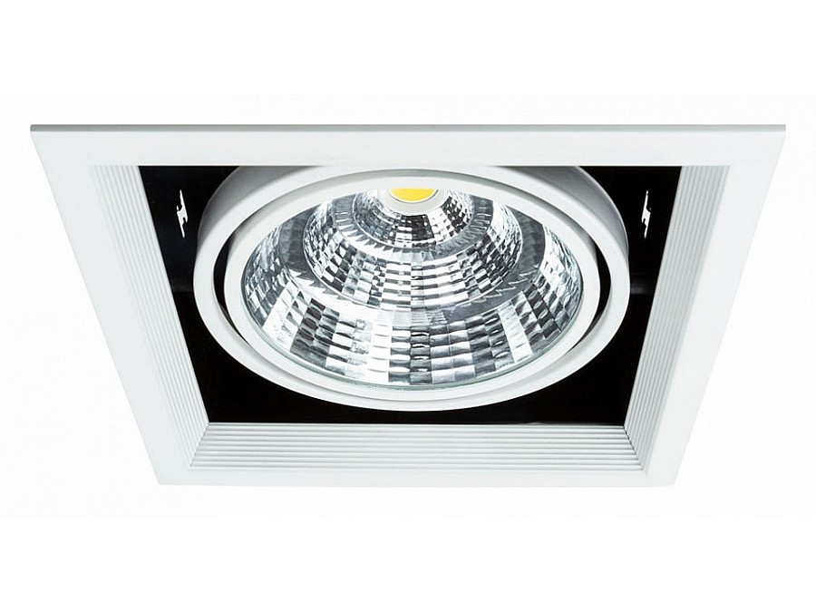 Встраиваемый светильник Arte Lamp Merga A8450PL-1WH