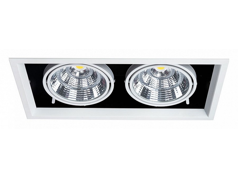 Встраиваемый светильник Arte Lamp Merga A8450PL-2WH