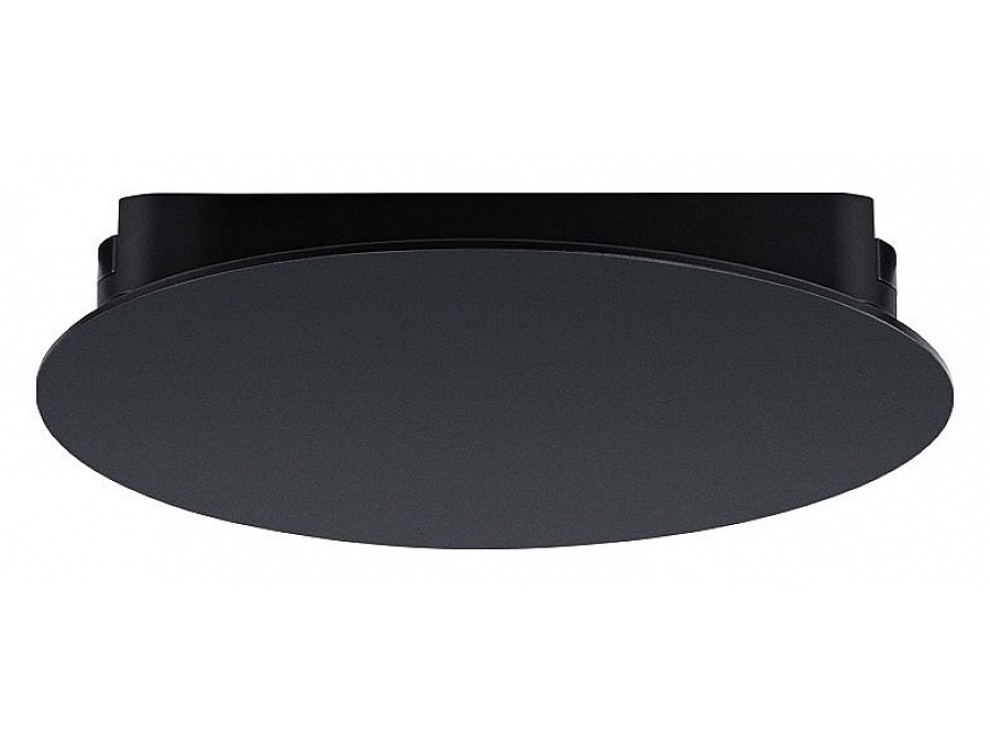 Накладной светильник Arte Lamp Rapid A6163PL-1BK