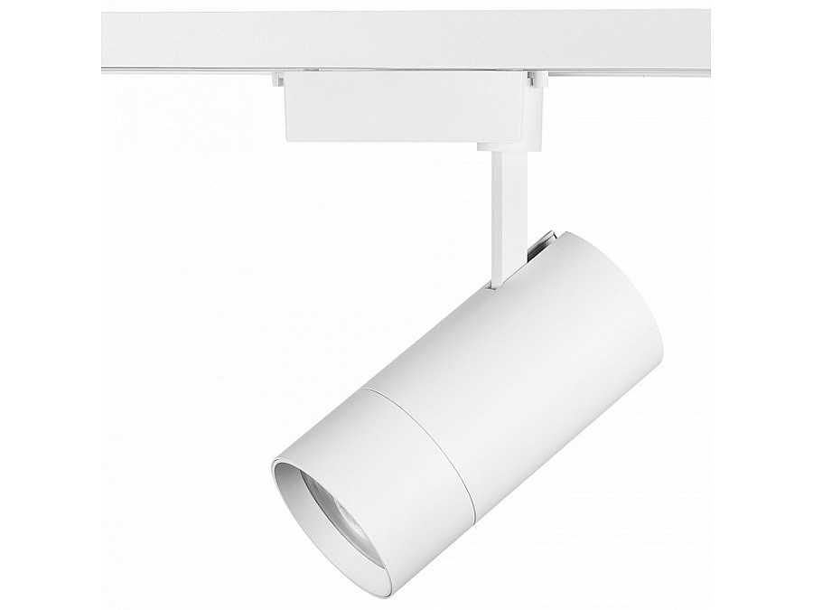 Светильник на штанге Lightstar Volta 229436