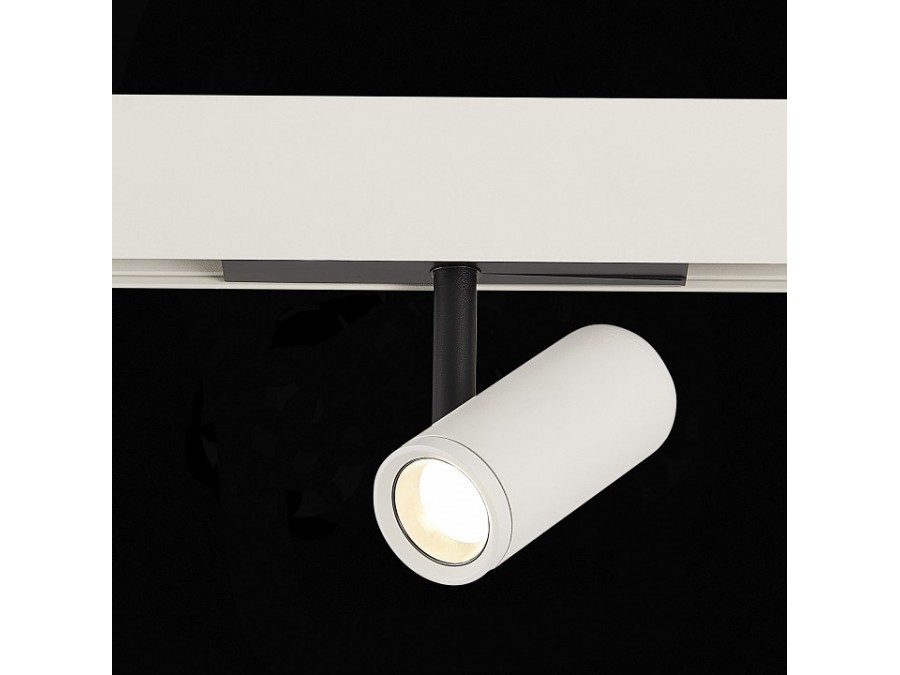 Светильник на штанге ST-Luce ST808 ST808.546.08