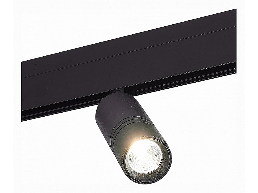 Светильник на штанге ST-Luce Lemmi ST365.446.12