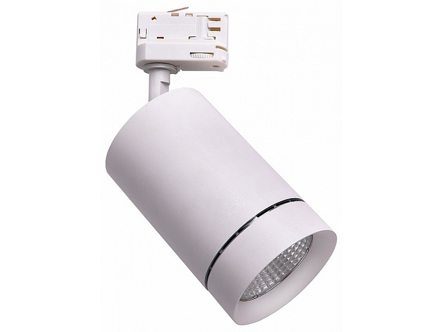 Светильник на штанге Lightstar Canno 303564