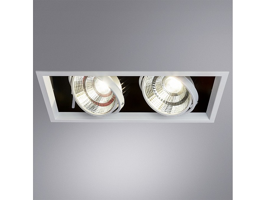 Встраиваемый светильник Arte Lamp Merga A8450PL-2WH