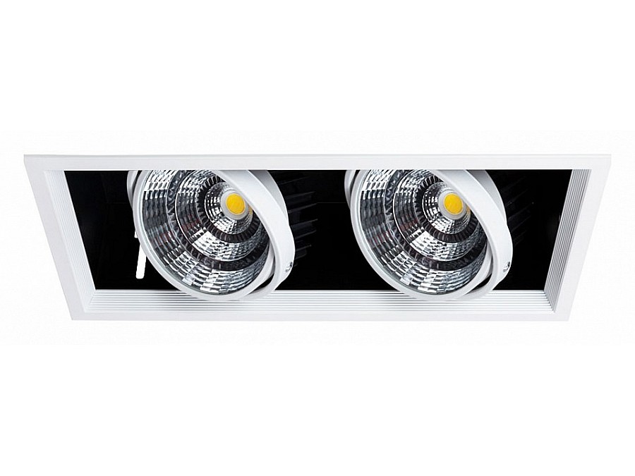 Встраиваемый светильник Arte Lamp Merga A8450PL-2WH
