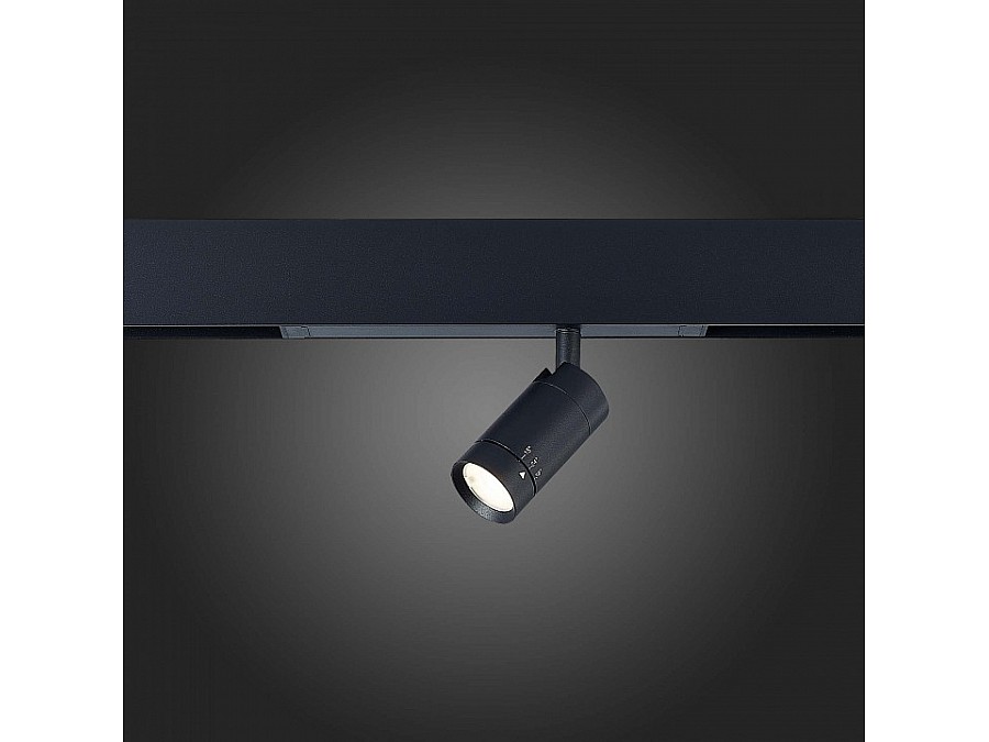 Светильник на штанге ST-Luce ST658 ST658.496.07