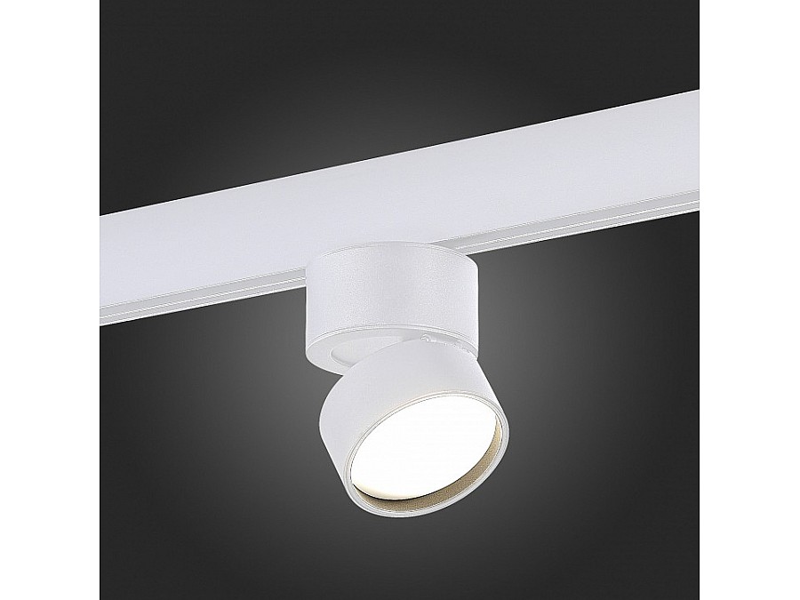 Светильник на штанге ST-Luce ST809 ST809.546.09