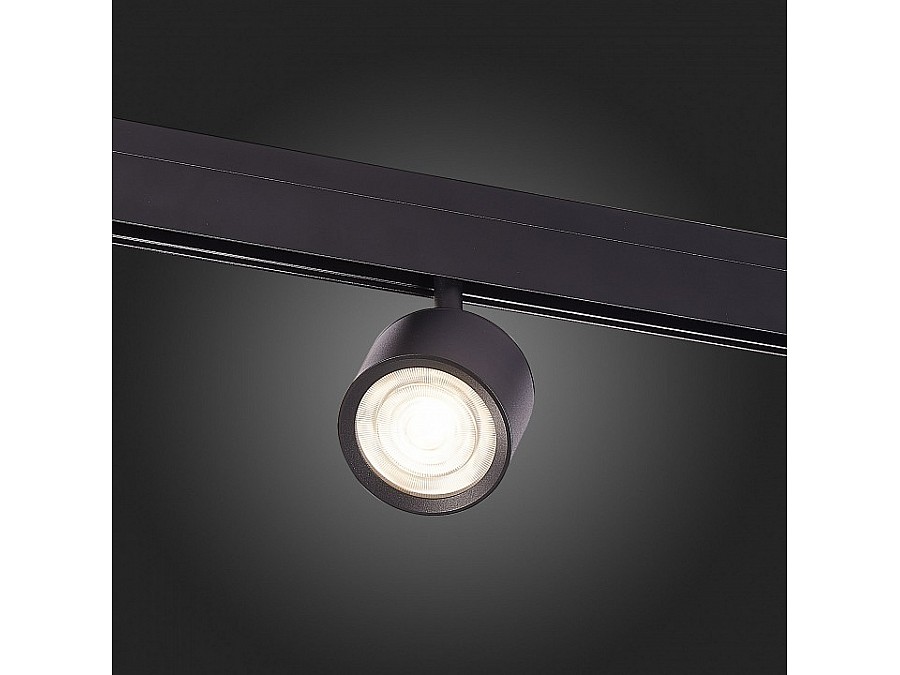 Светильник на штанге ST-Luce Vedo ST353.446.06