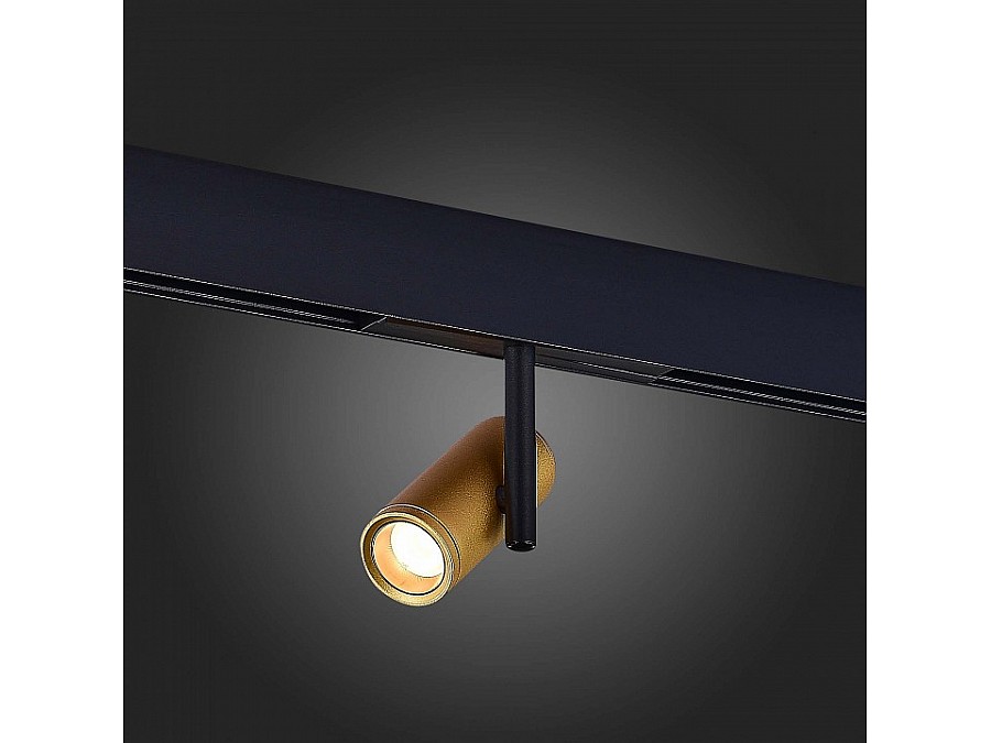 Светильник на штанге ST-Luce ST808 ST808.236.08